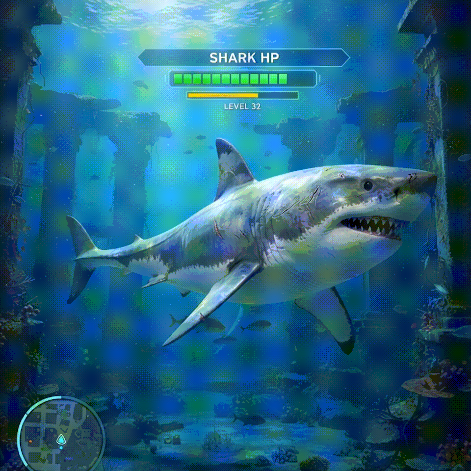 Proyecto de ilustración